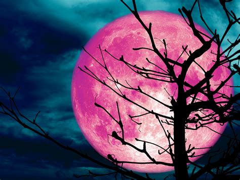 pink moon 2023 india